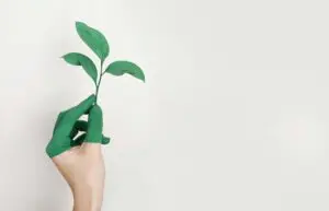 The Revolutionary Green New Deal: A Bold Step Towards a Greener Future 8 What is Sustainability? How Sustainabilities Work, Benefits, and Example