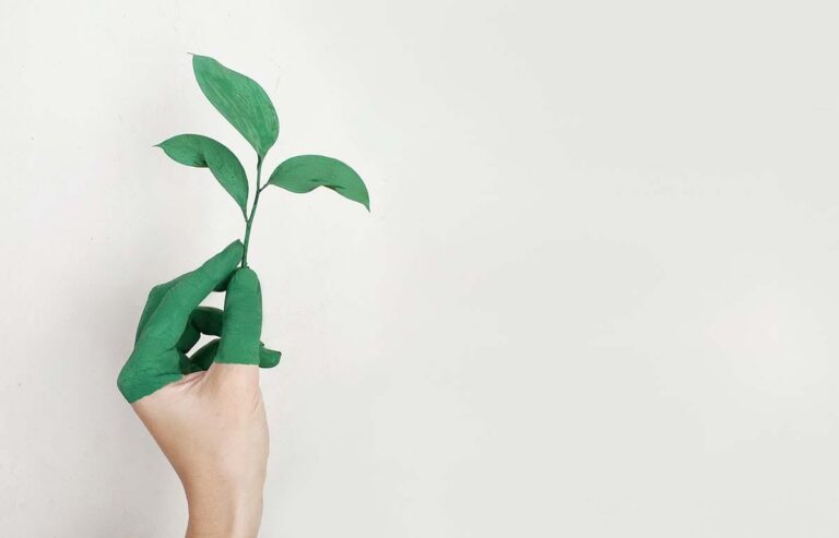 What is Sustainability? How Sustainabilities Work, Benefits, and Example